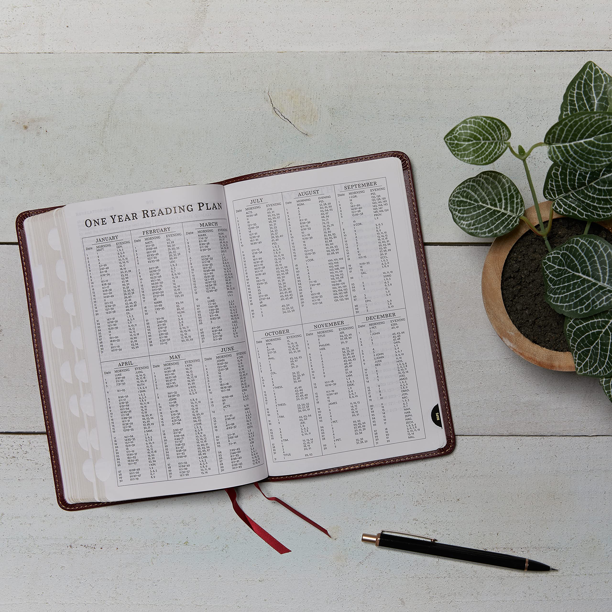 KJV Holy Bible: Thinline, Brown Leathersoft, Red Letter, Comfort Print (Thumb Indexed): King James Version: Holy Bible, King James Version