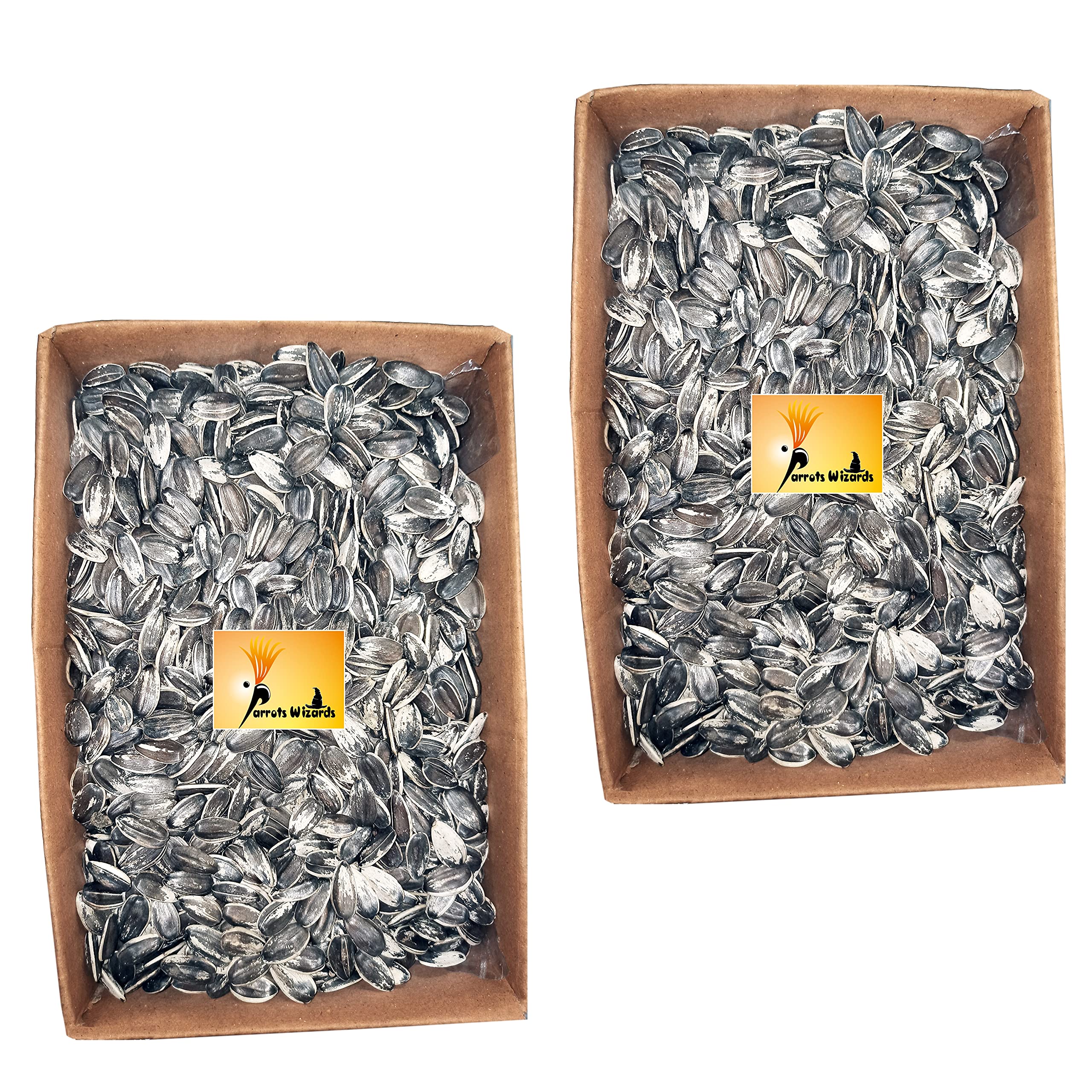 Large Sunflower Seeds for Big Parrot (1900 Grams), All Life Stages, bird
