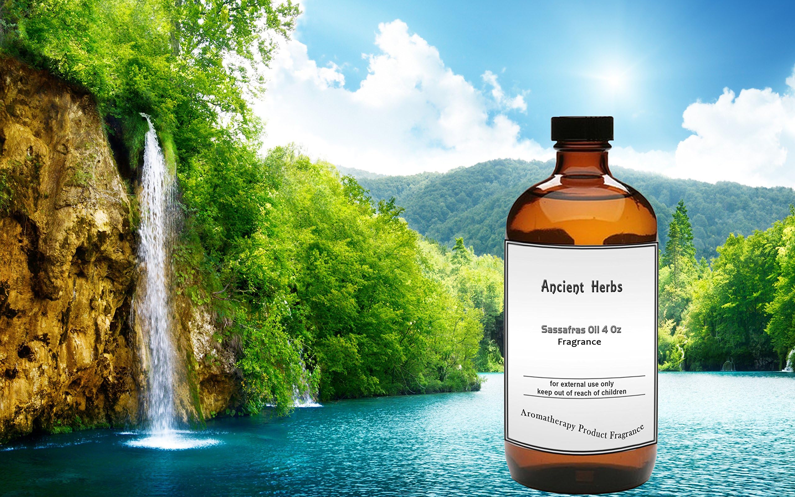 Oil of Sassafras, Sassafras Oil Where can i Buy, Sassafras Fragrance Oil, Sassafras Oil Buy,