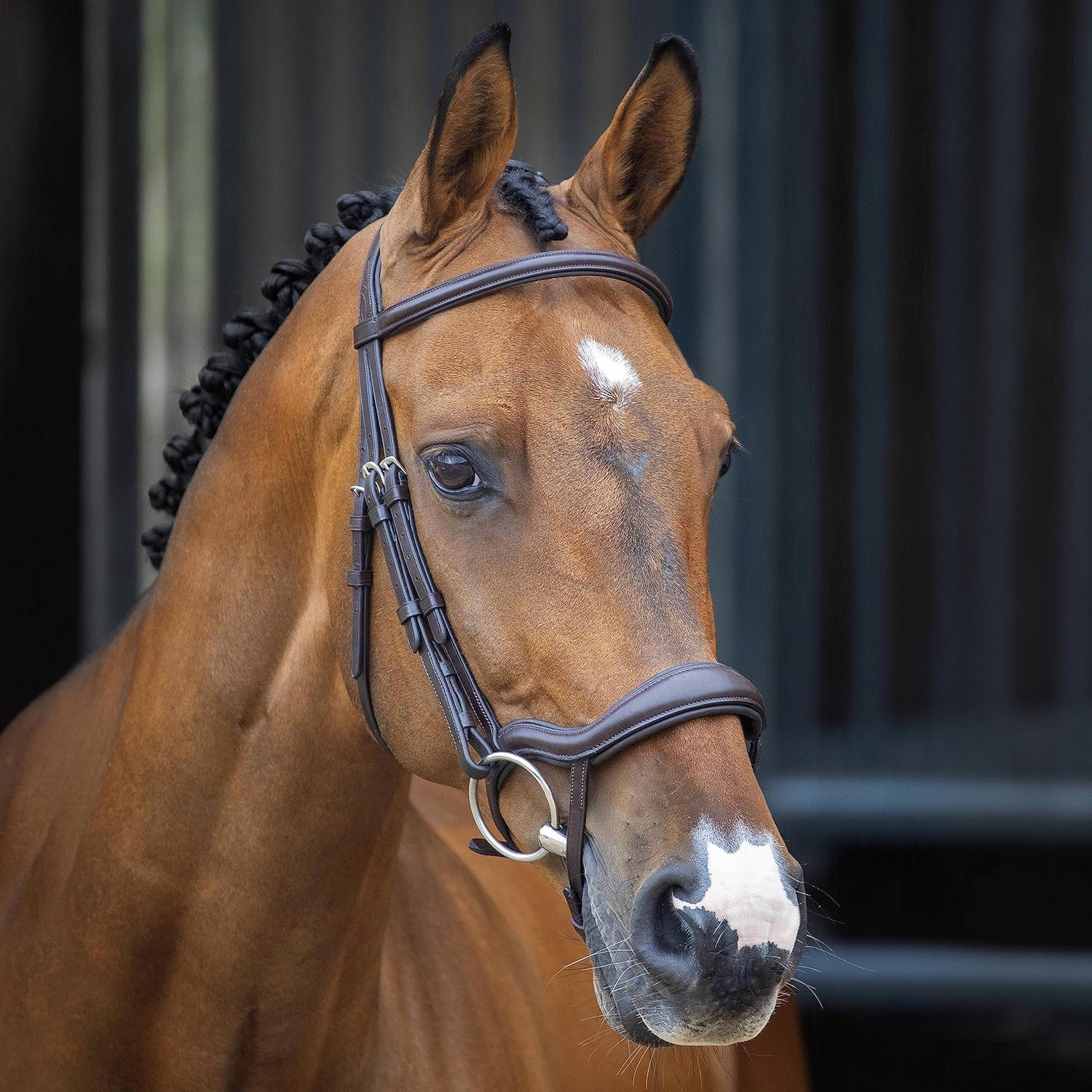 Shires LUSSO Ergonomic Flash Bridle