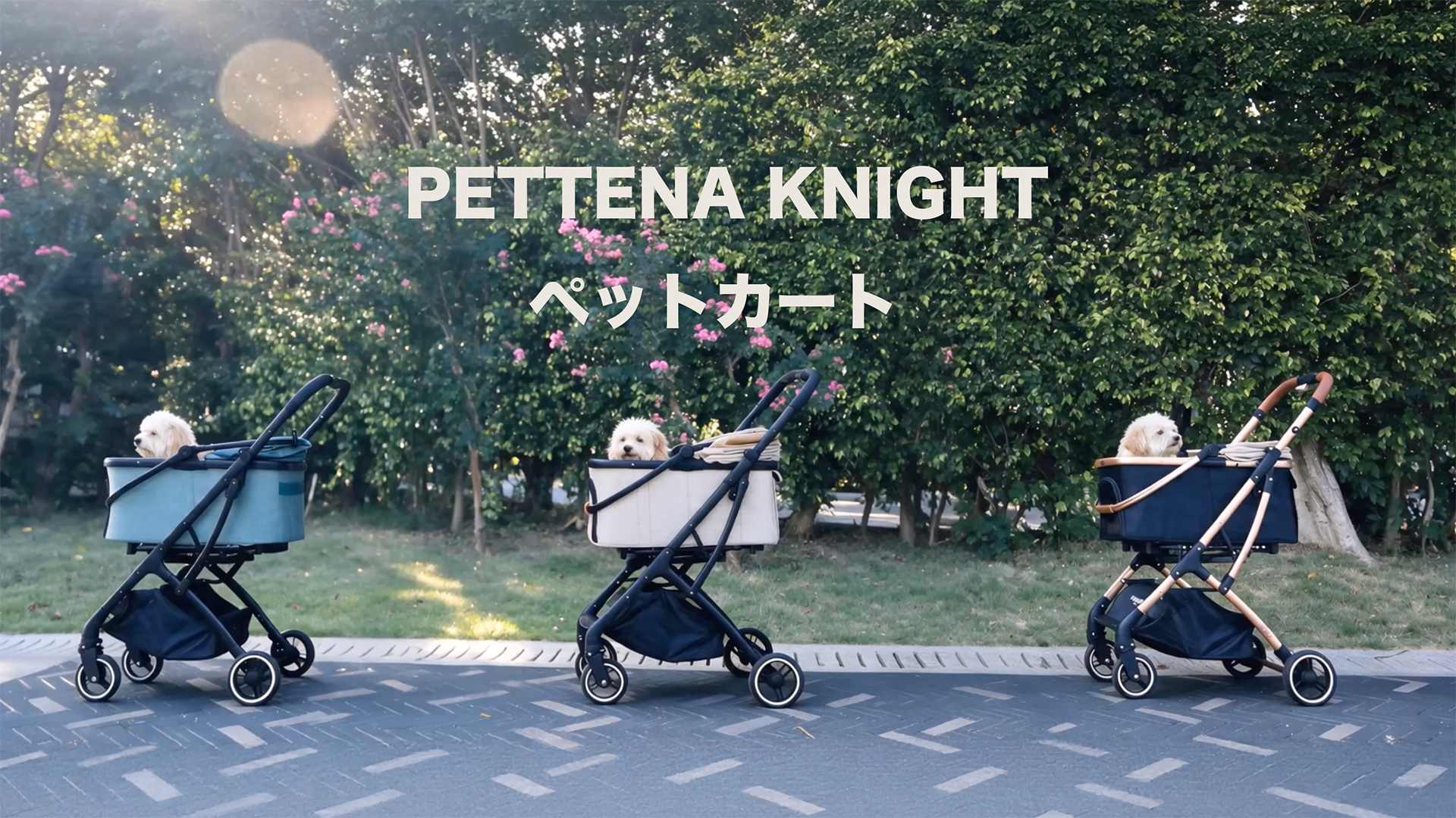 Amazon.co.jp: 【最新自立型】PETTENA 分離型 ペットカート 耐荷重20KG