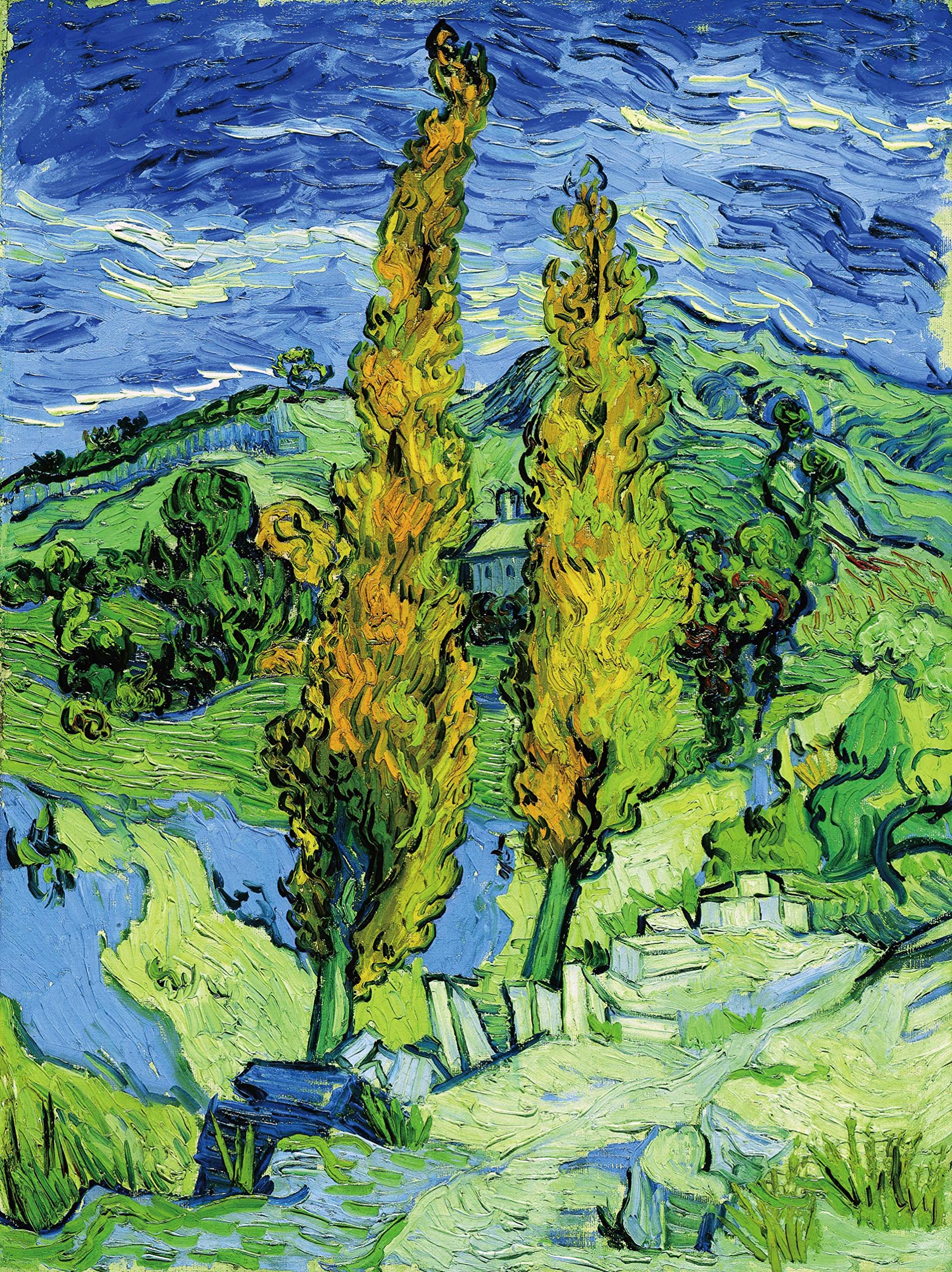 liziciti 5D Diamond Painting Kits Van Gogh for Adults, 30x40cm Diamond Art Kits Full Drill Canvas Art Picture DIY for Wall Decor (Plant)