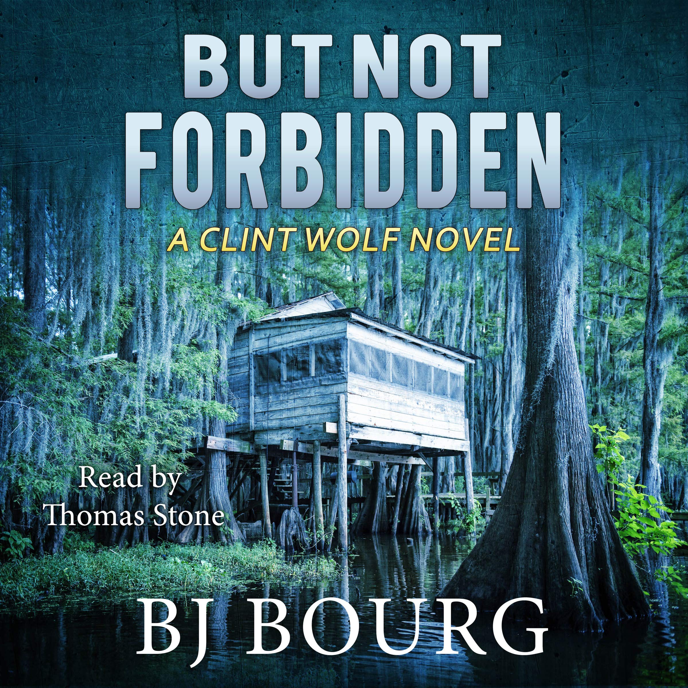 Cover art for But Not Forbidden