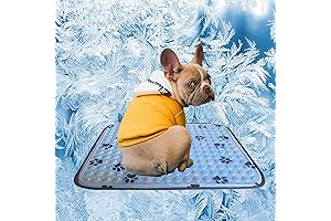 Small Cooler Dog Cooling Mat for Bed, Crate, Kennel, No Water or Electricity Needed