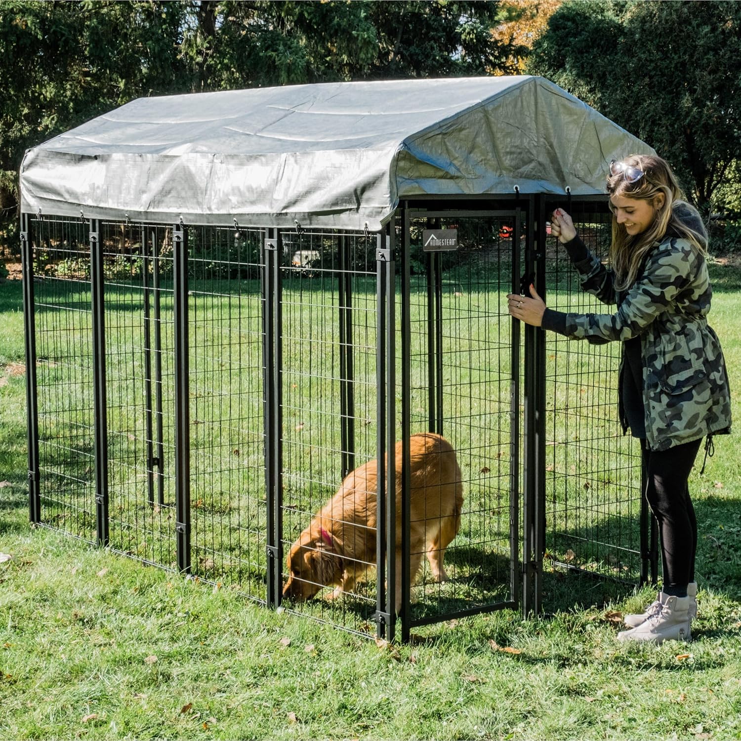 Ultimate Comfort: Review of the Olympia Tools 6x4x8ft Dog Kennel