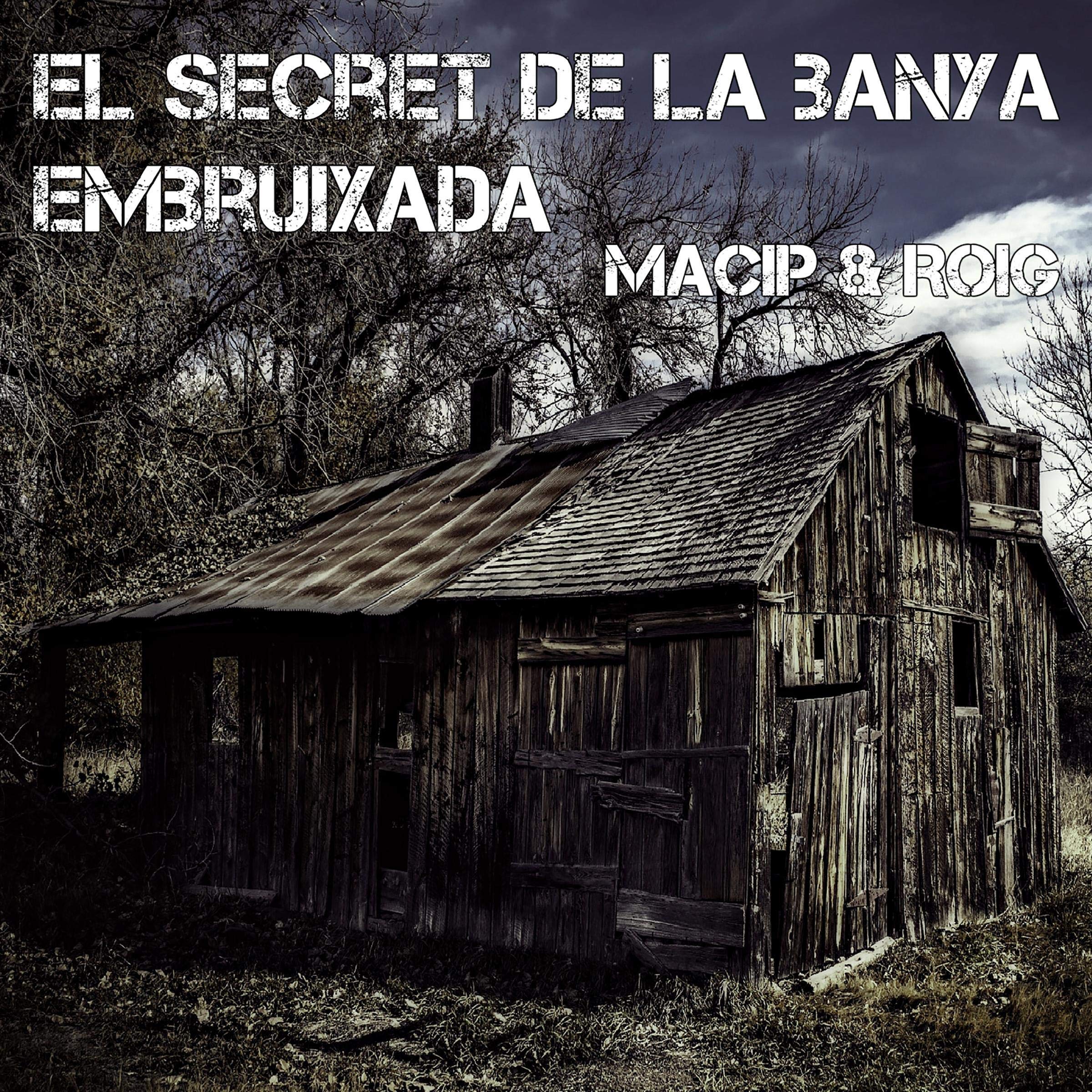 El secret de la banya embruixada [The Secret of the Haunted Horn] (Audiolibro en Catalán)