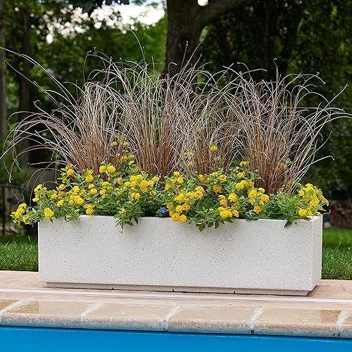 Miniatura 9 de PolyStone Riviera Short - Moderna maceta rectangular para interiores y exteriores, ligera, resistente, resistente a la intemperie, acabado de