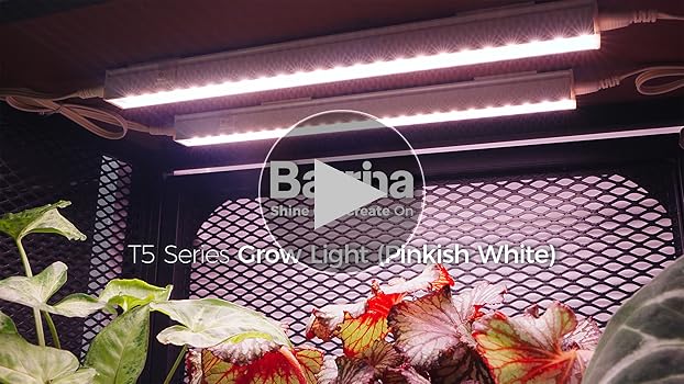 Amazon.com : Barrina Grow Lights for Indoor Plants, Full