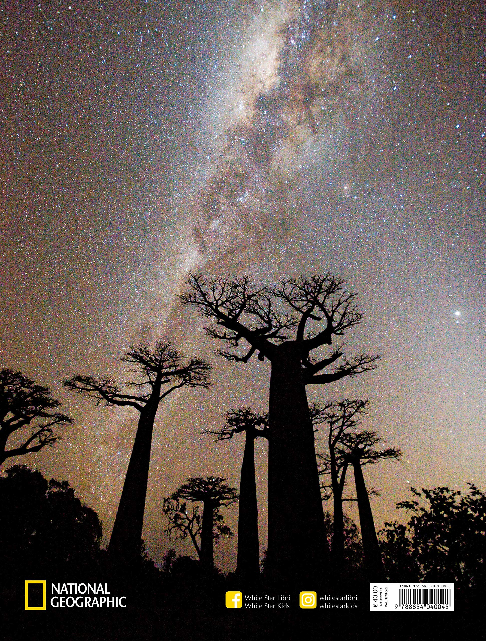 Alberi tra cielo e terra. Ediz. a colori