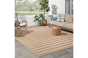 Nourison Positano Neutral Rugs for Living Room (8x10)