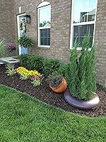 Vista 4 de Anillo regador de árboles con liberación lenta de 15 galones