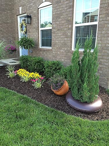 Miniatura 4 de Anillo regador de árboles con liberación lenta de 15 galones