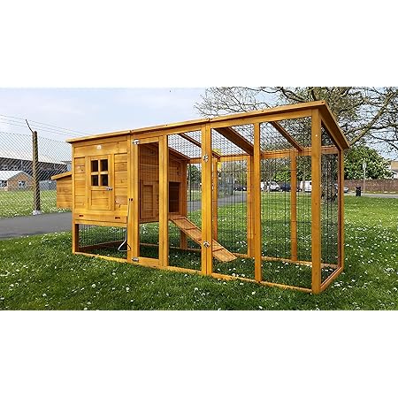 Large XXL Eggshell Buckingham Portable 8ft 100% Fox Proof 3mm Welded