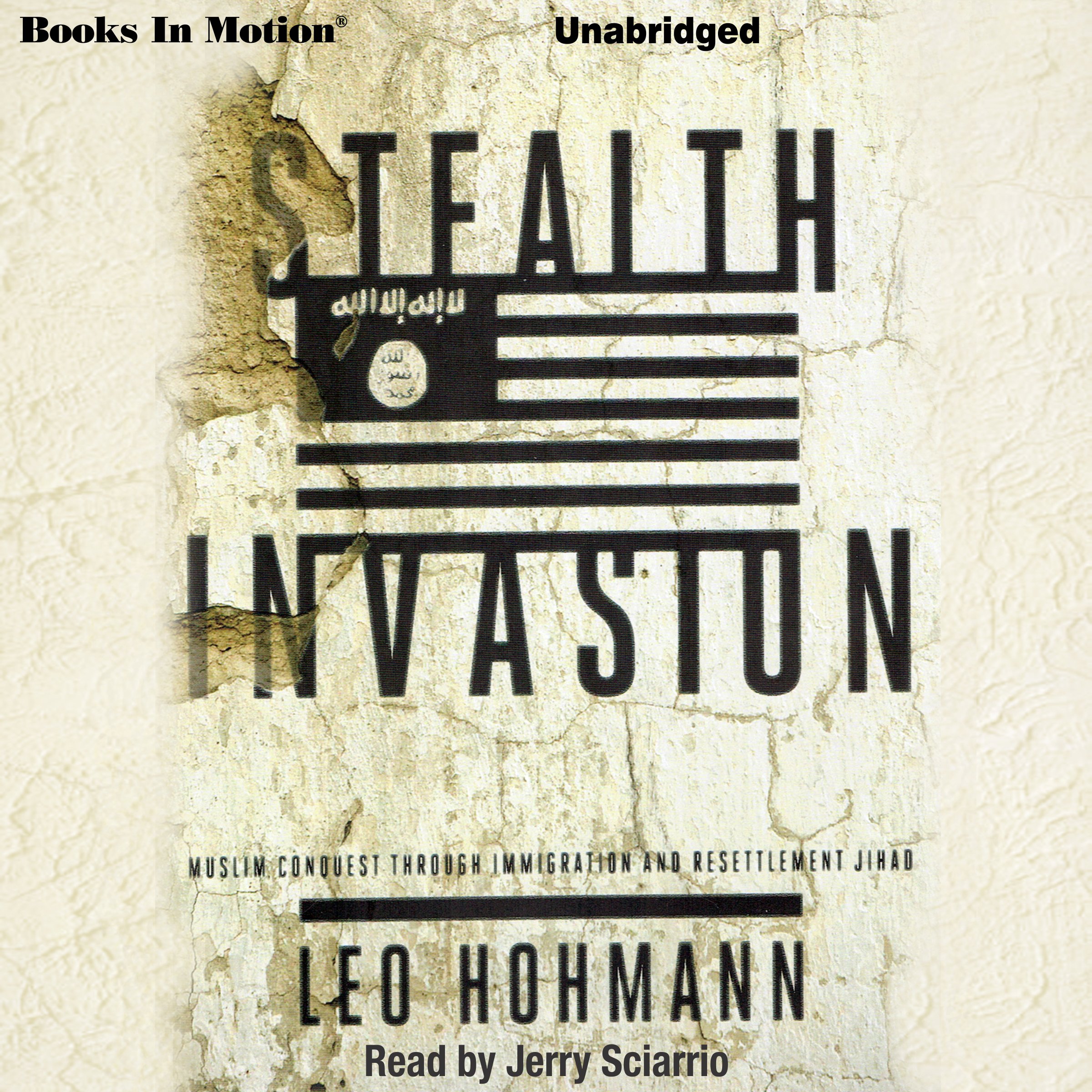 Cover art for Stealth Invasion