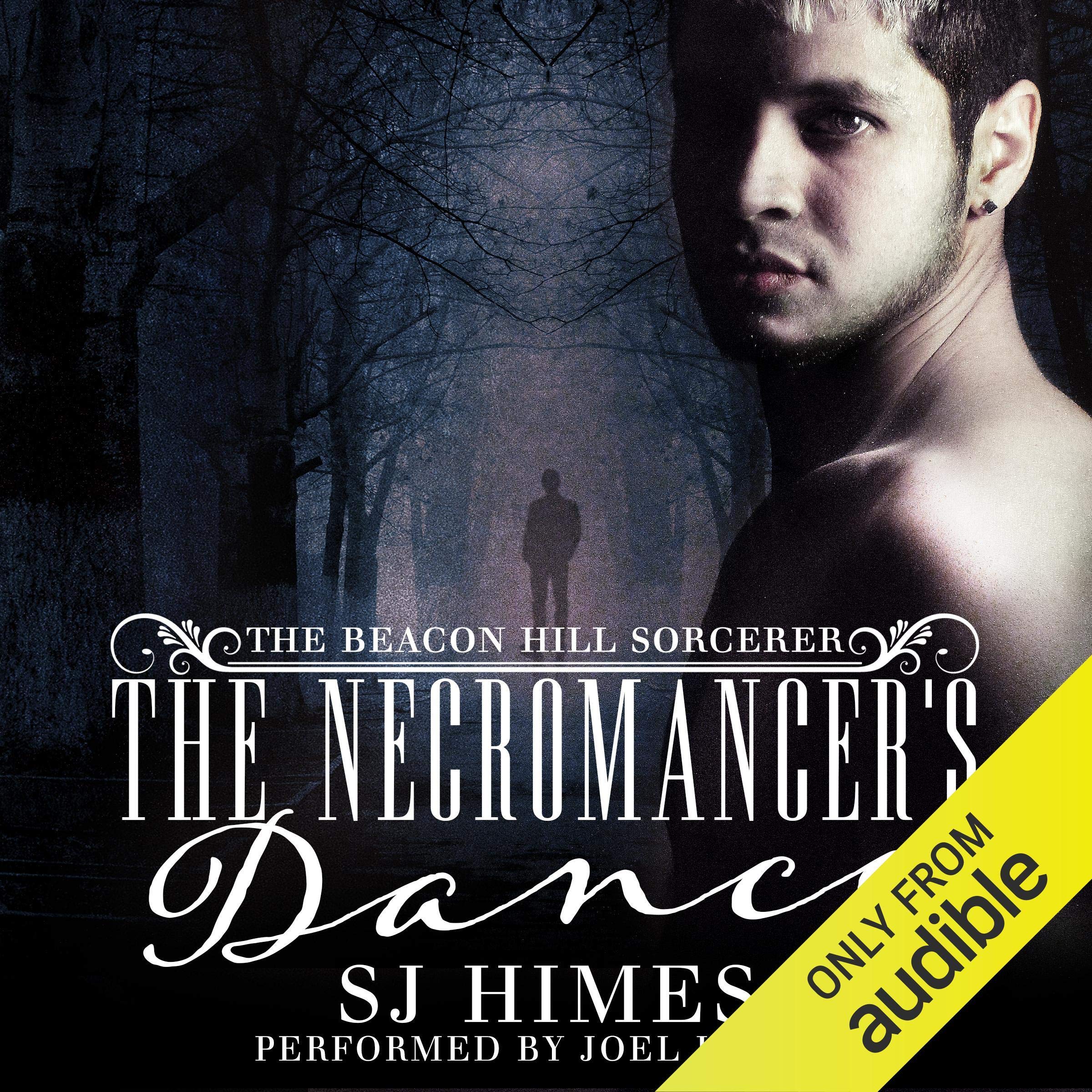 Cover art for The Necromancer's Dance