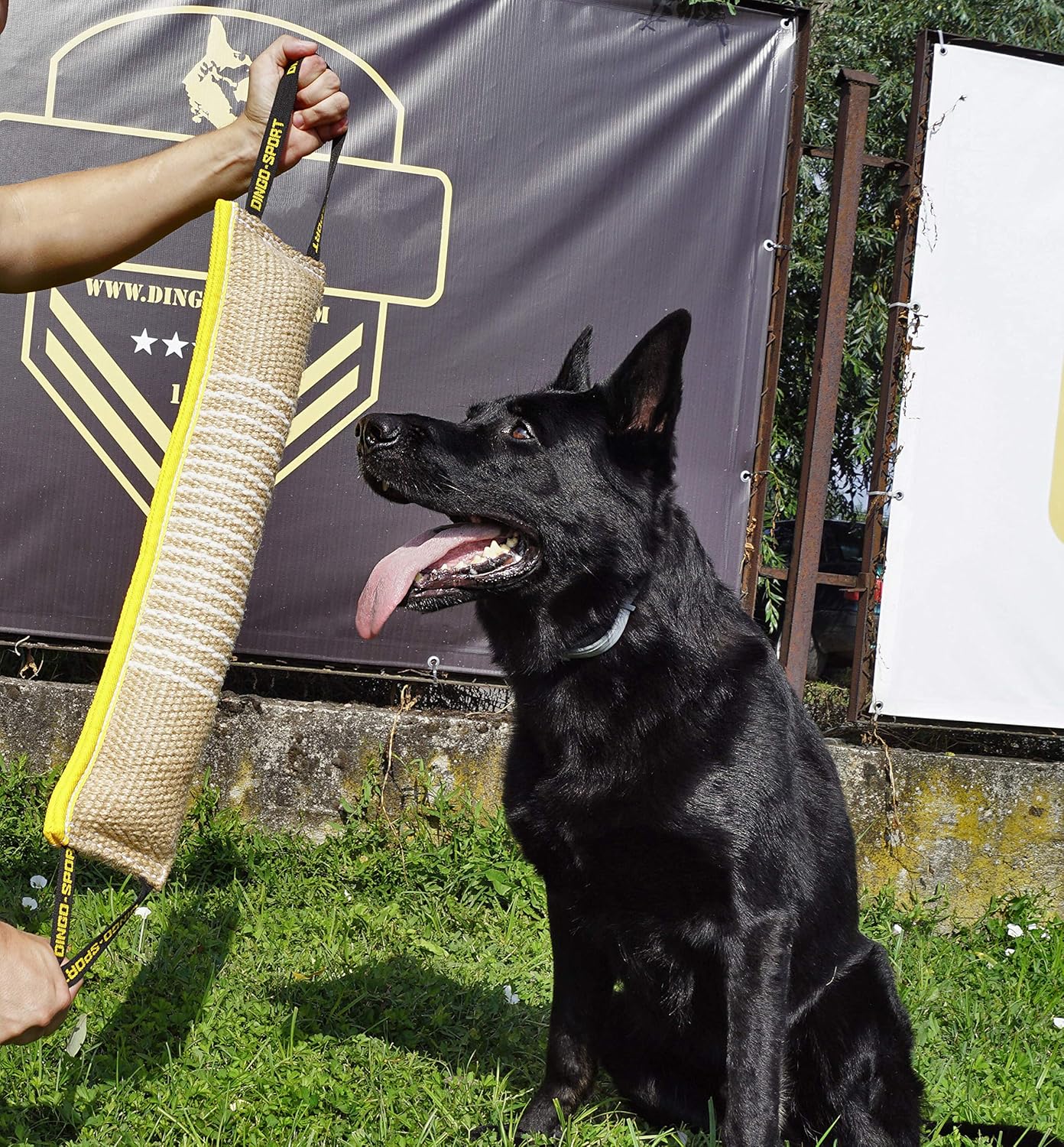 DINGO Jute Tug Toy Reinforced 2 Handles Pull Rope... 20 DINGO Jute Tug Toy Reinforced 2 Handles Pull Rope...