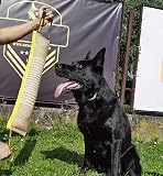 Ver la foto 3