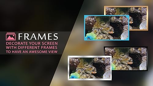 free clown fish aquarium HD - decore seu quarto com um lindo aquário em sua TV HDR 4K, TV 8K e dispo