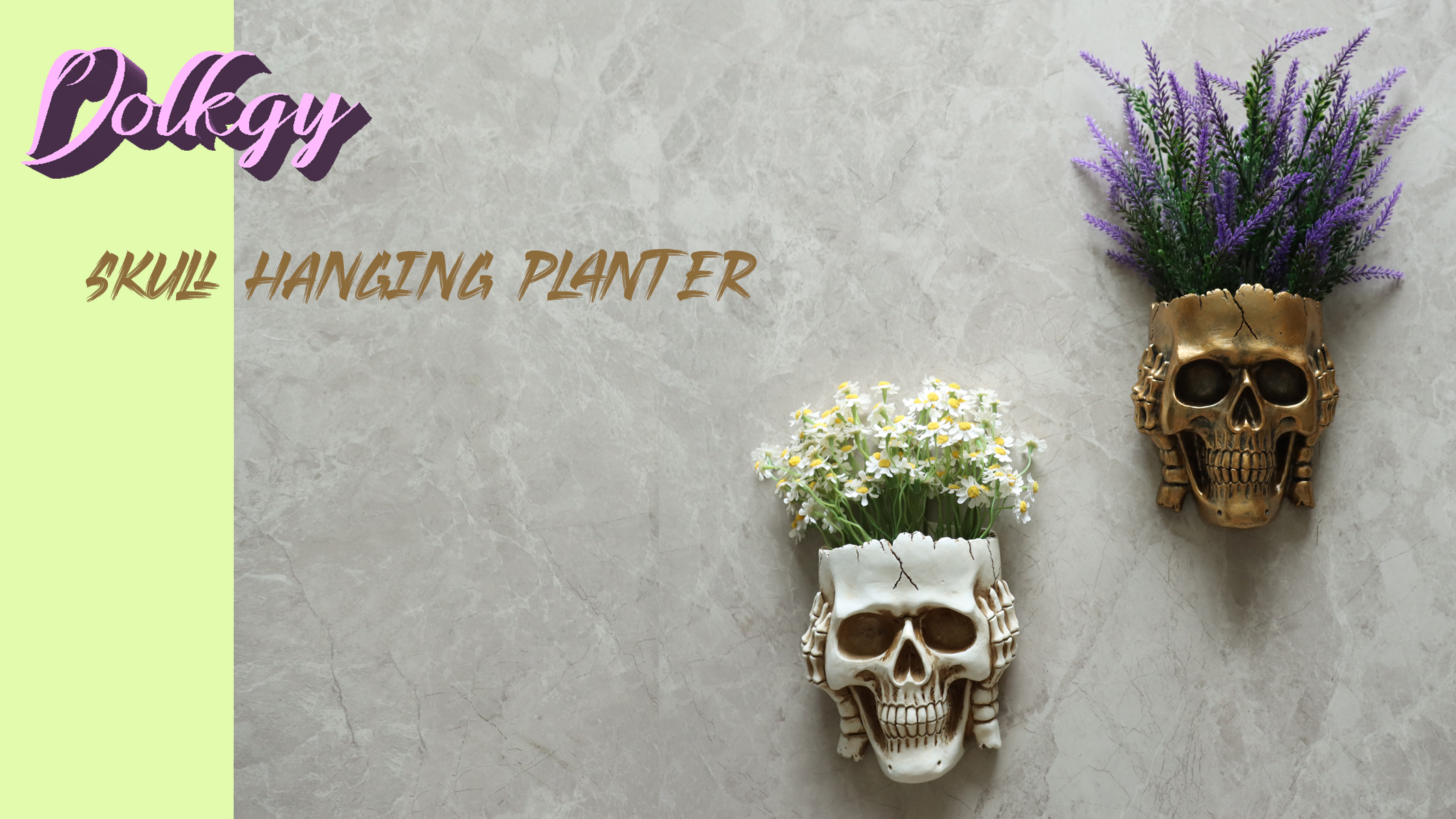 Amazon.com : Dolkgy Skull Wall Planter for Home Décor, Hanging