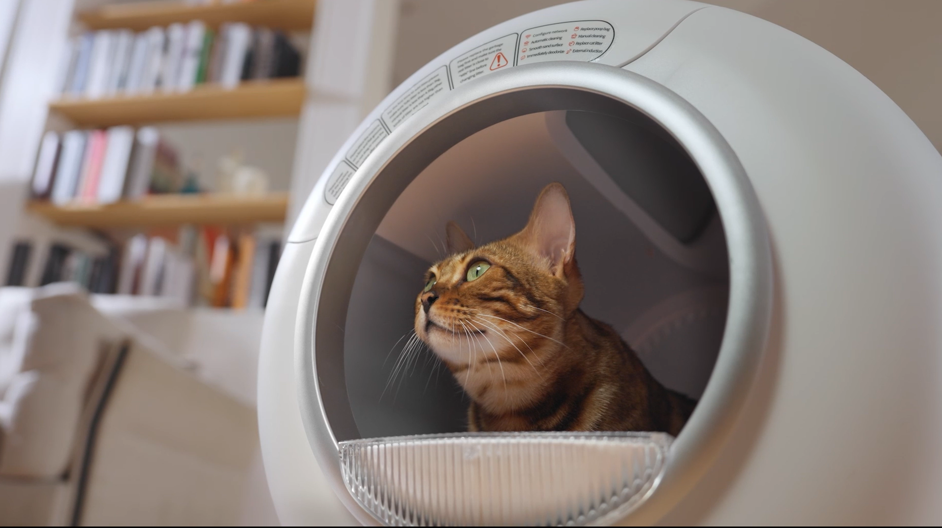 Amazon | 【完全挟み込み防止】猫 トイレ 自動トイレ オシッコが漏れ