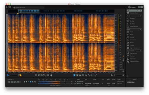 RX Elements: Audio Repair Plug-in, iZotope, Inc. [Online Code] - Thumbnail 3