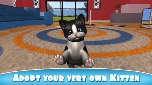 Daily Kitten #TOP1