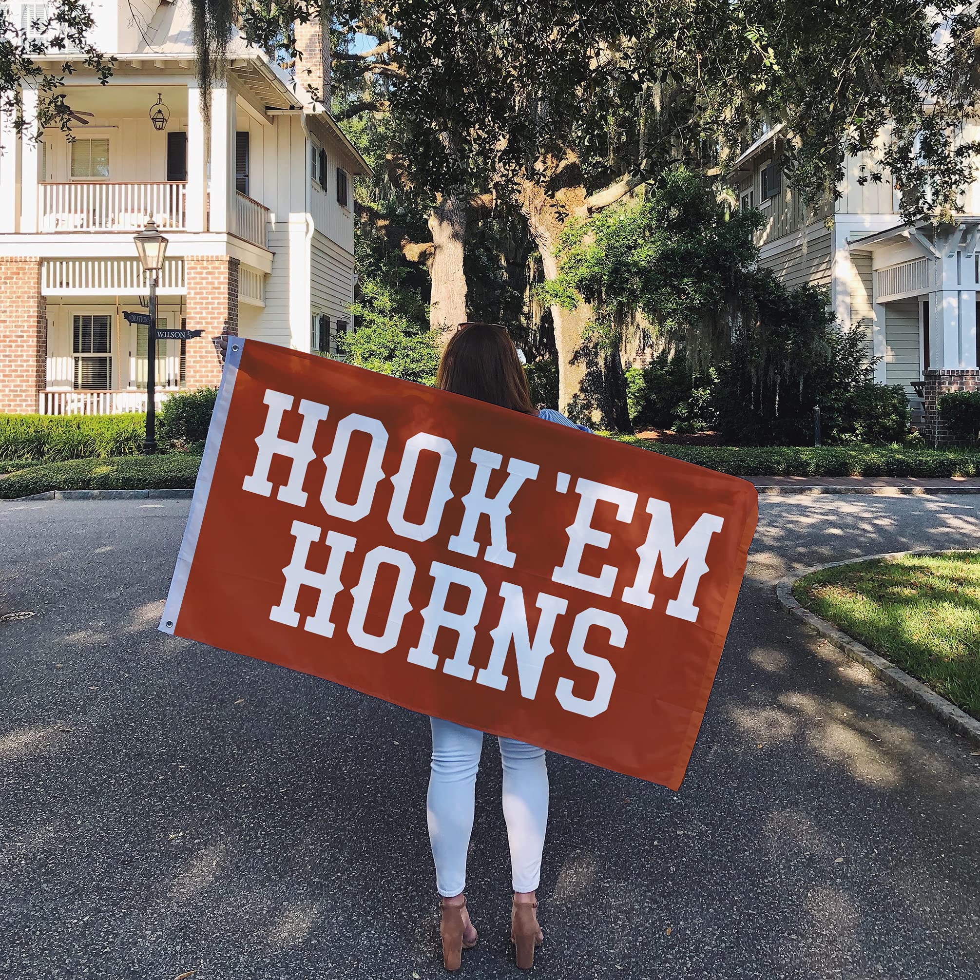 Desert Cactus University Of Texas Flag Longhorns UT Austin