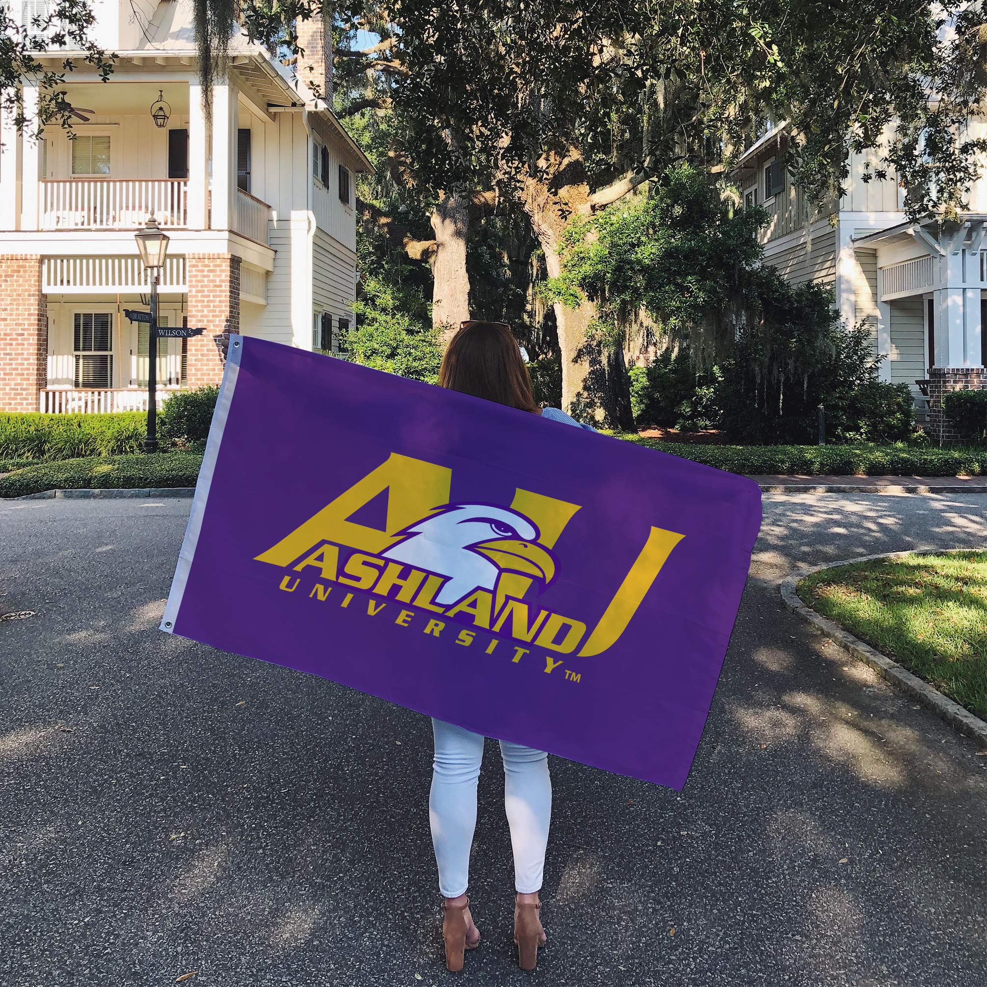 Amazon.com : Desert Cactus Ashland University Eagles 100% Polyester Indoor  Outdoor 3 feet x 5 feet Flag (Style 1) : Sports & Outdoors