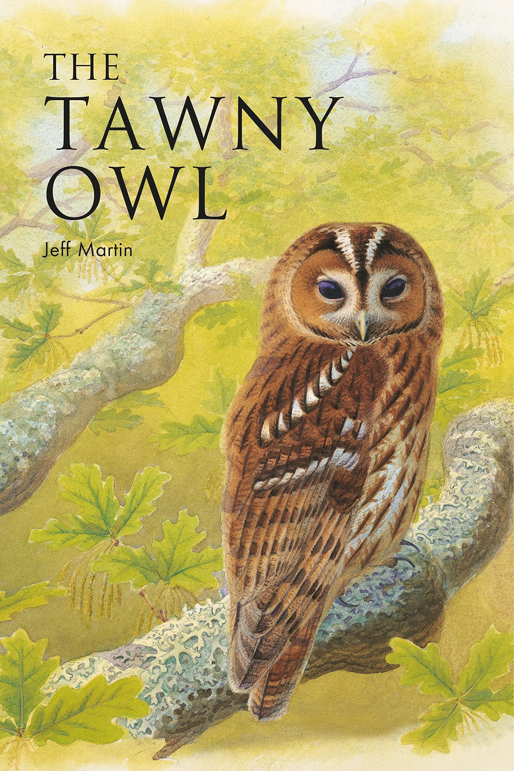 The Tawny Owl by Mr Jeff Martin PAPERBACK 9781472980694