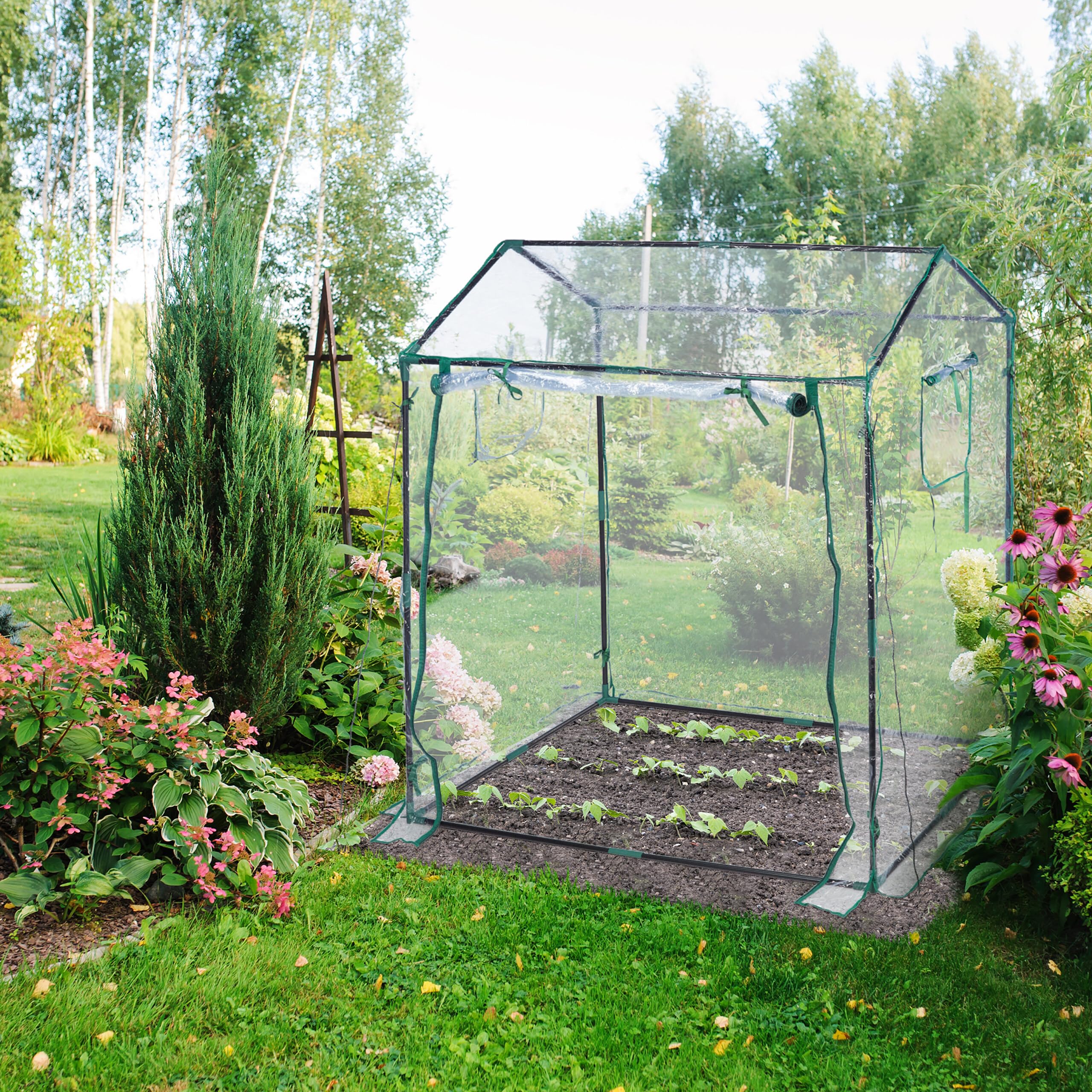 Relaxdays Serra per Orto, Telo in PVC, Porta e Finestre Avvolgibili, HxLxP: 152x132x92 cm, Giardinaggio, Trasparente