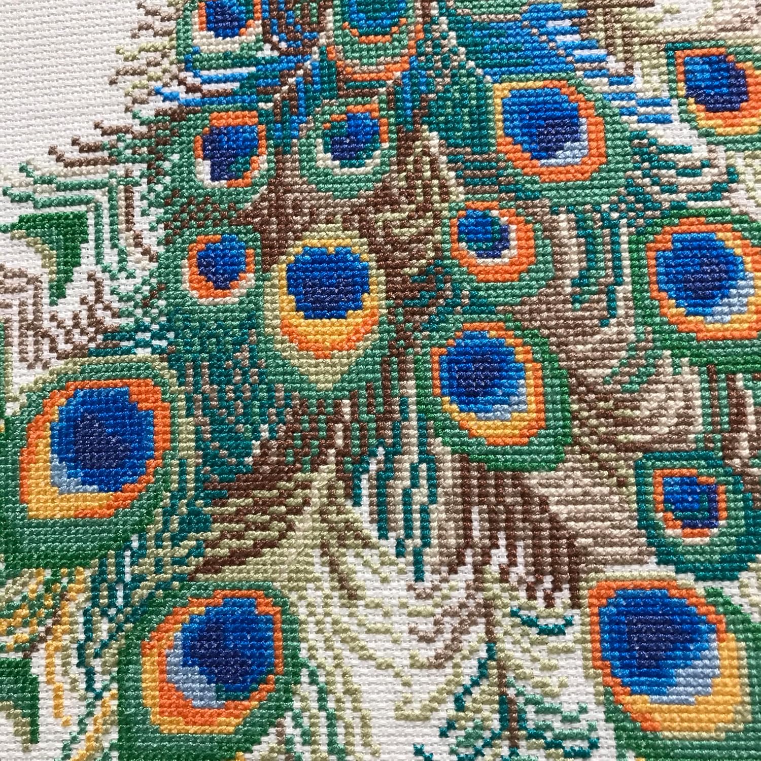RIOLIS - Peacocks 767, Animals Cross Stitch Kits 18,9" x18,9, Cross Stitch Kits for Beginners & Advanced, Crossstitching Kits Adult, Counted Stitching Kits, Embroidery Kit