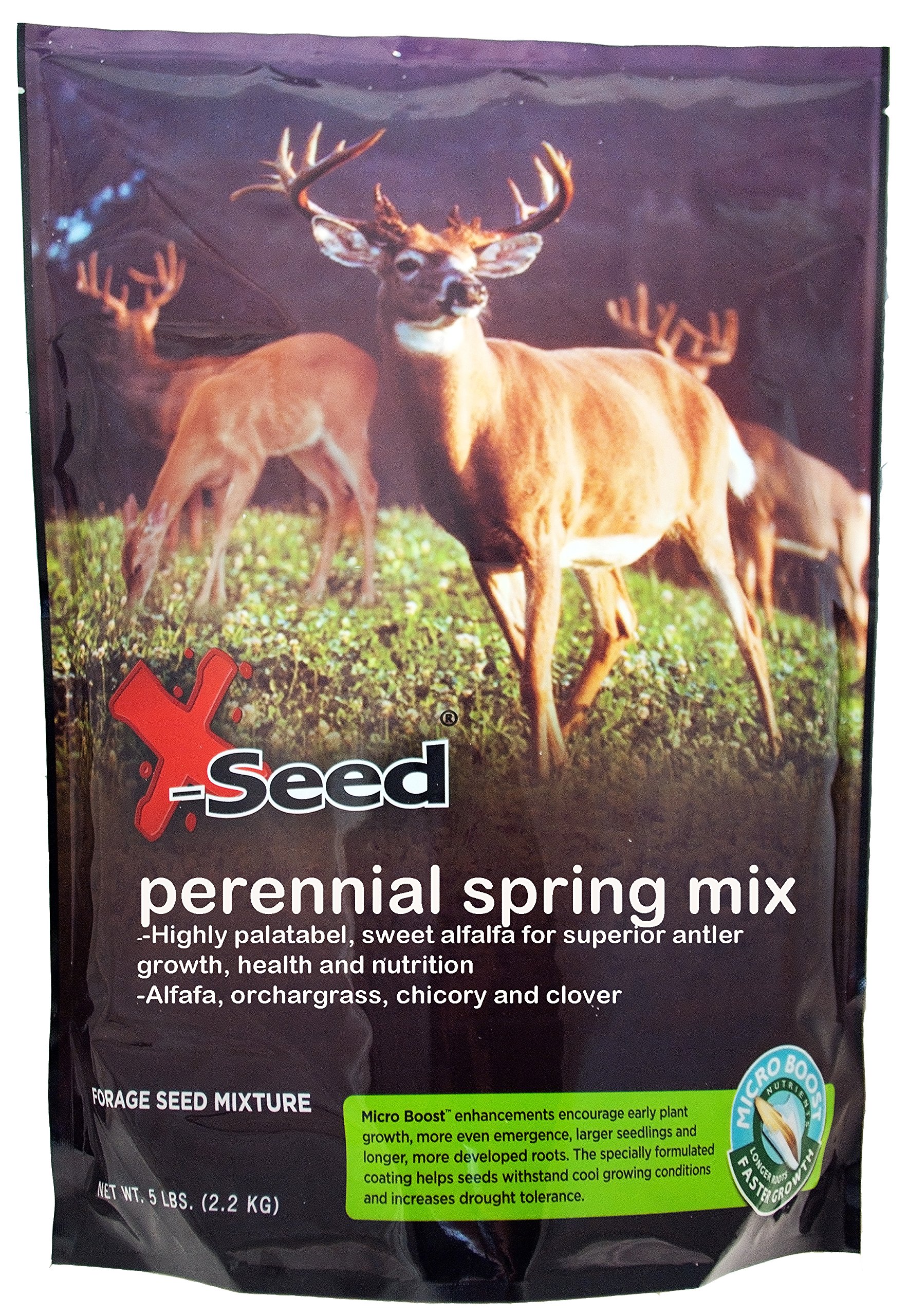 X-Seed Food Plot Perennial Blend, 5-Pound