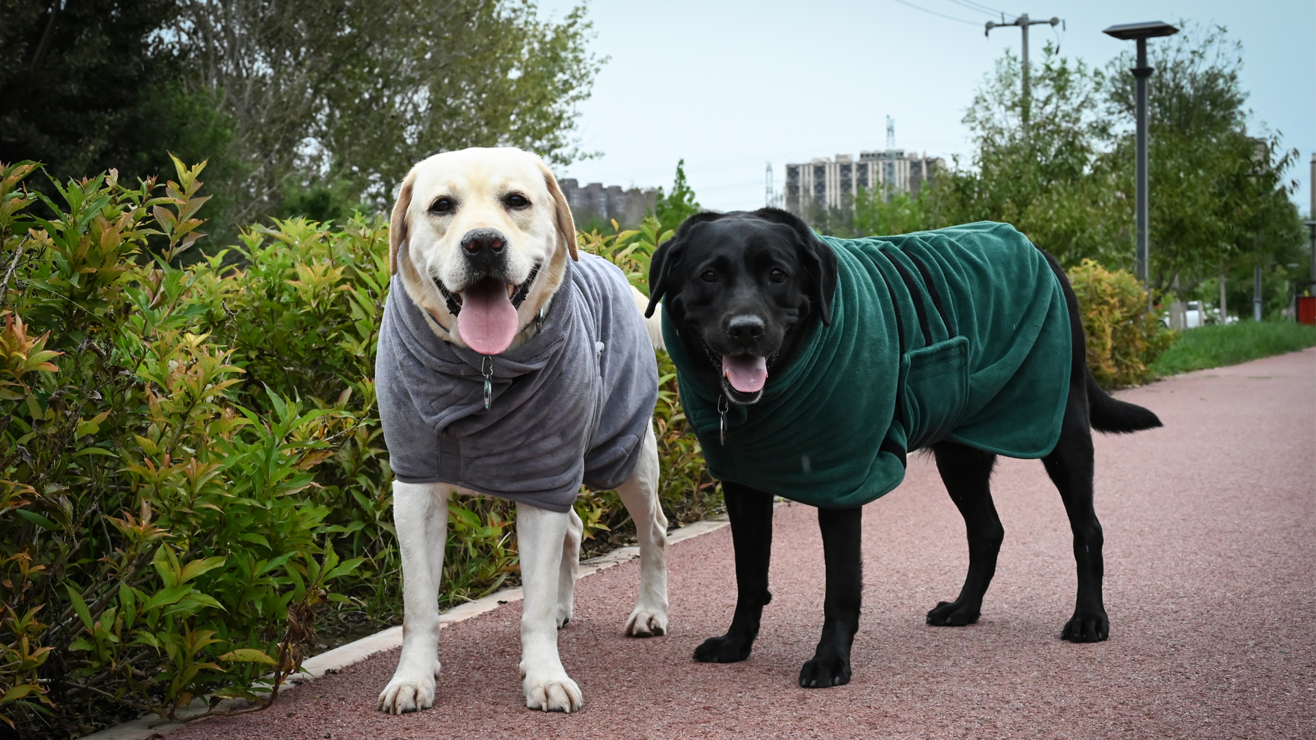 Amazon.com : HCHYEY Dog Drying Coat, Double Thick Dog Robe for  