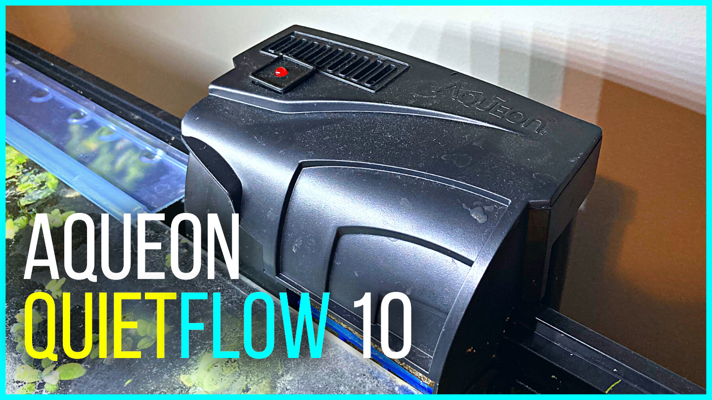 aqueon filter set up