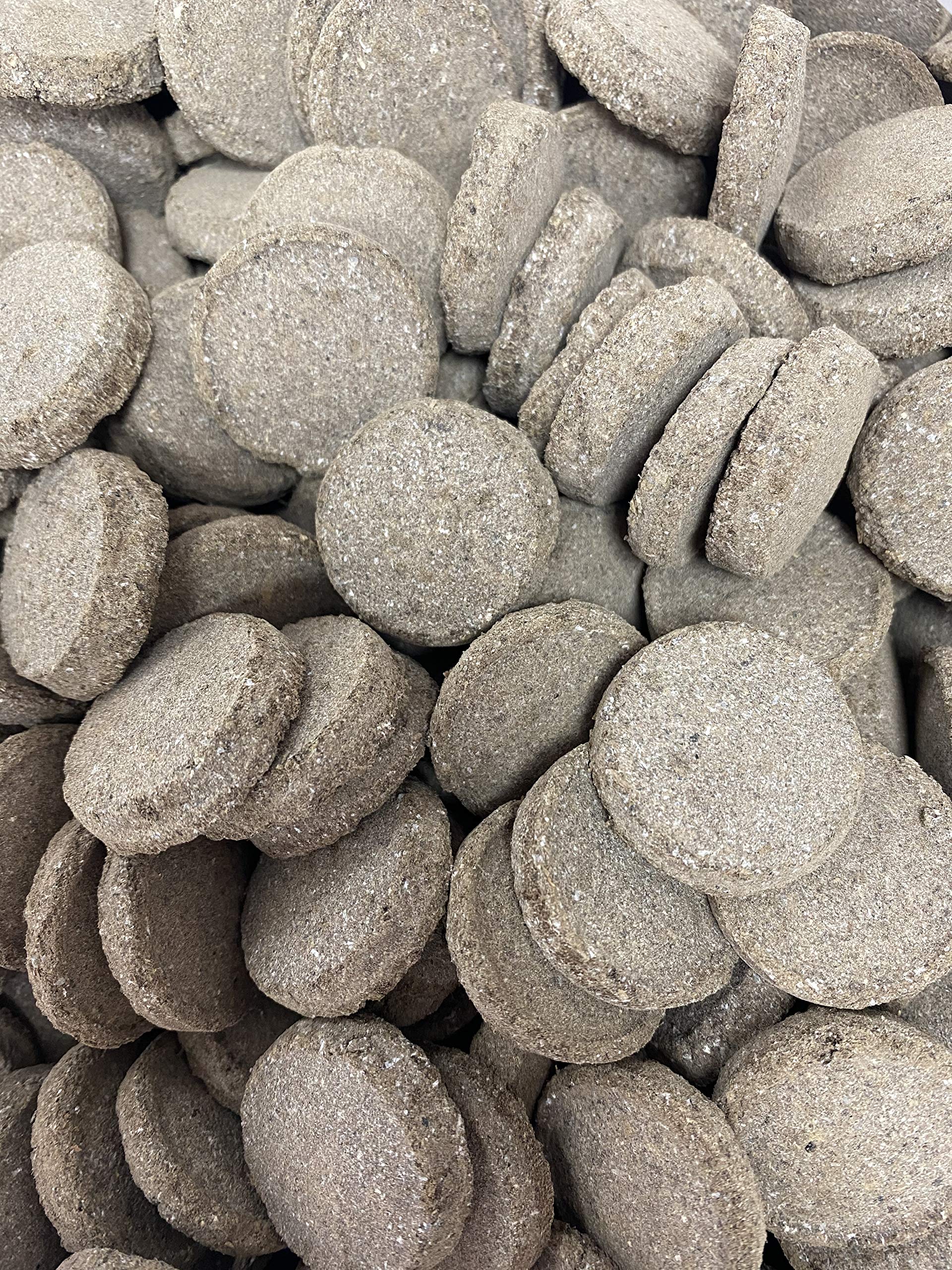 Micorrites pastilles enracinantes. 1500 pastilles, Hongo Ascophyllum Nodosum Micorrizas et trichodermas de « plantation »