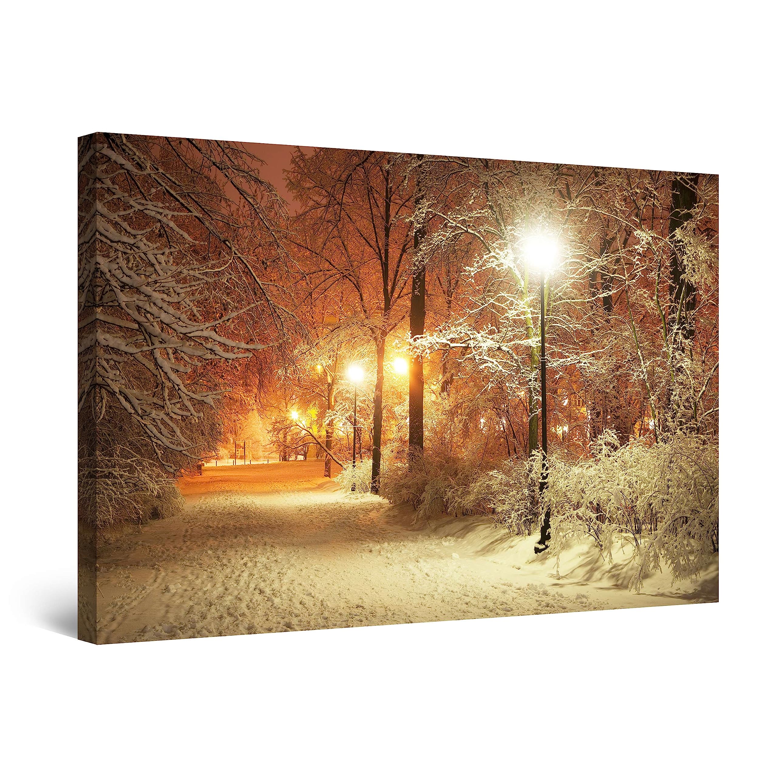 Startonight Cuadro Moderno en Lienzo Parque de Invierno, Paisaje Árboles Para Salon Decoración 60 x 90 cm
