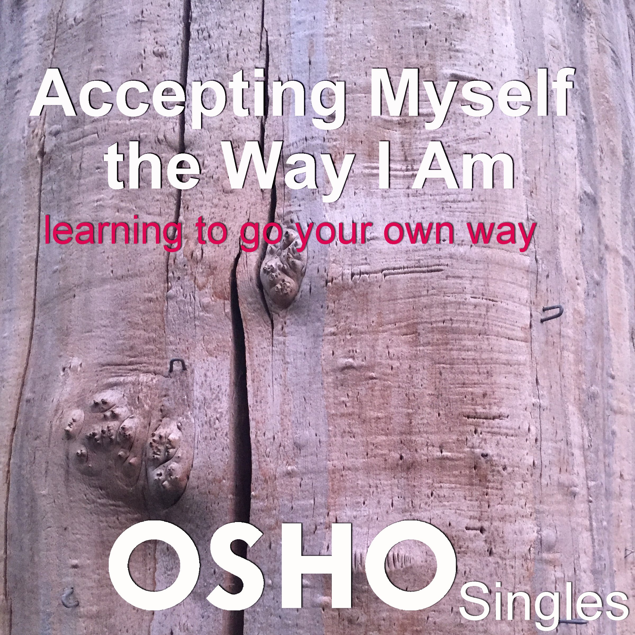 Cover art for Accepting Myself the Way I Am