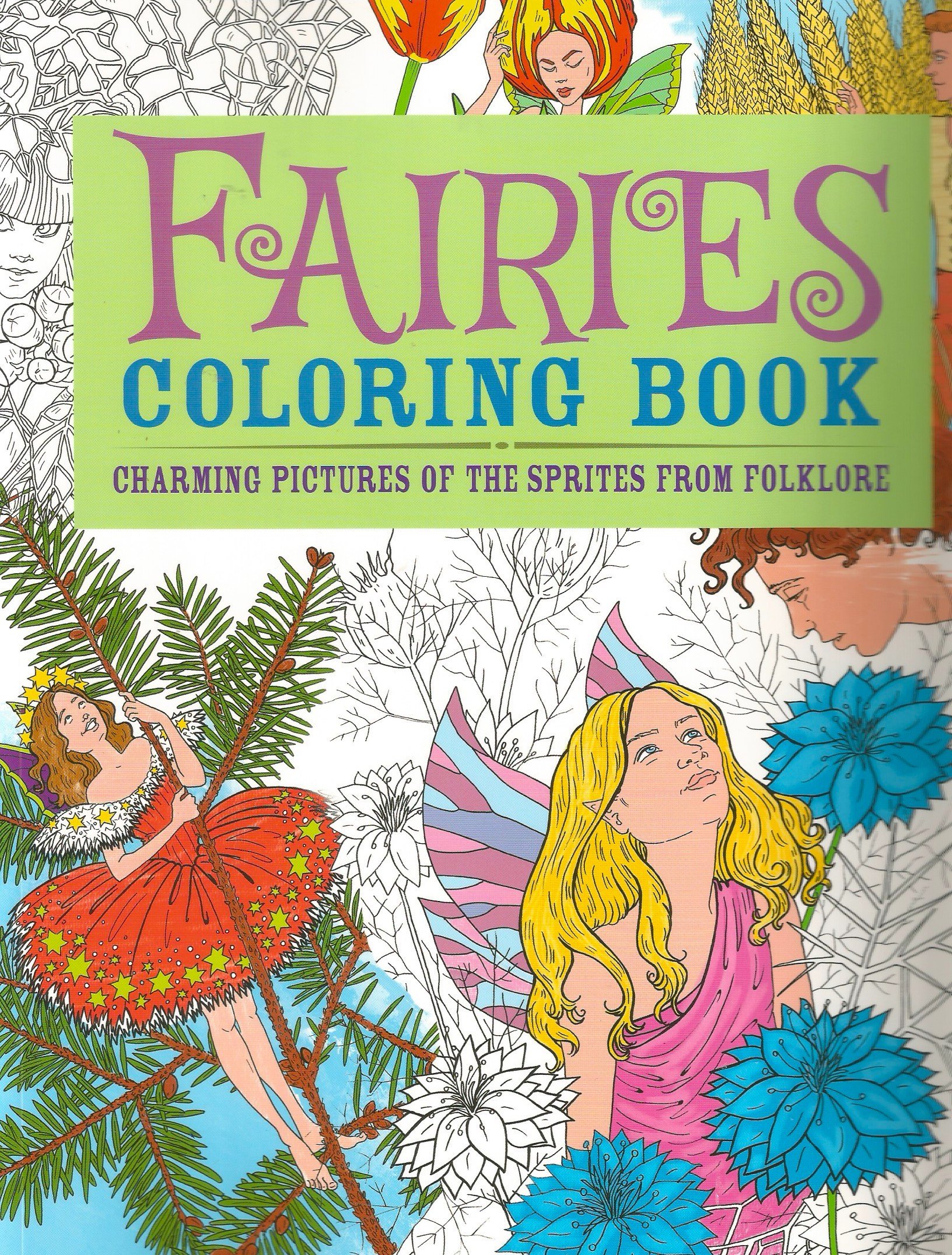 Fairies Coloring Book: Charming Pictures of the Sprites from Folklore (Chartwell Coloring Books, 1) Paperback – July 31, 2013