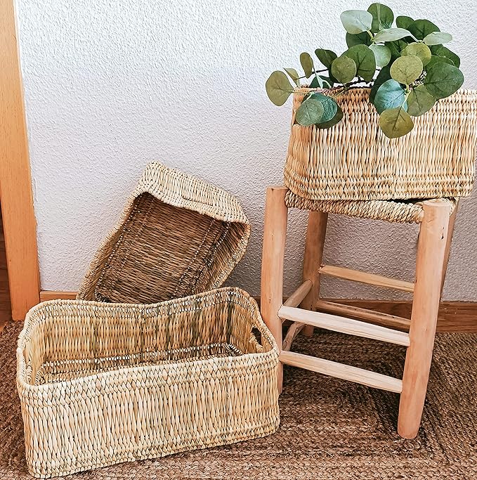 Canelahomedecor Set de 3 cestos de junco, cestas para almacenar, organizar y decorar, Cestos de fibra natural.