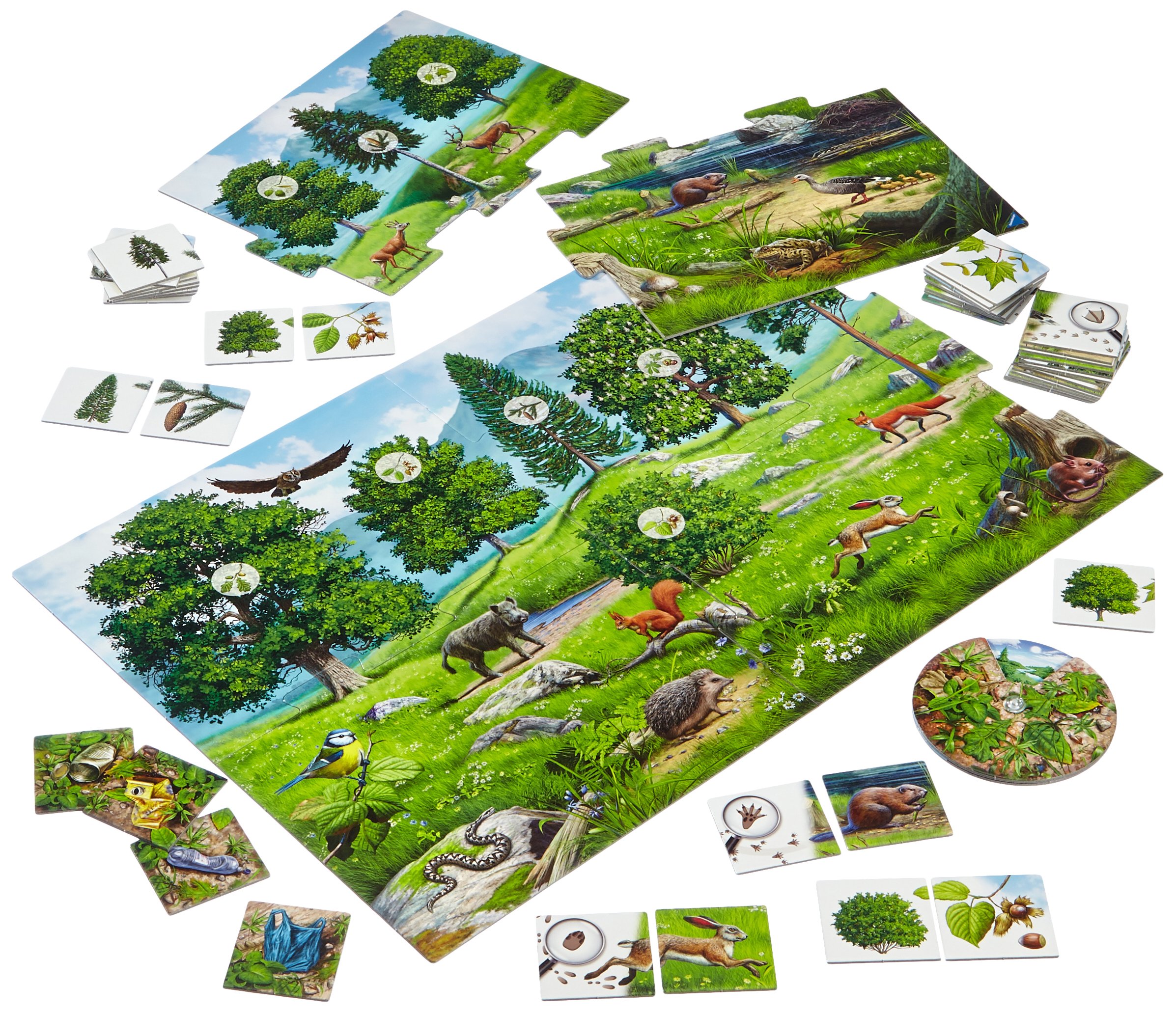 Der Natur auf der Spur - Kinder- und Jugendkunstschule Wartburgkreis e. V