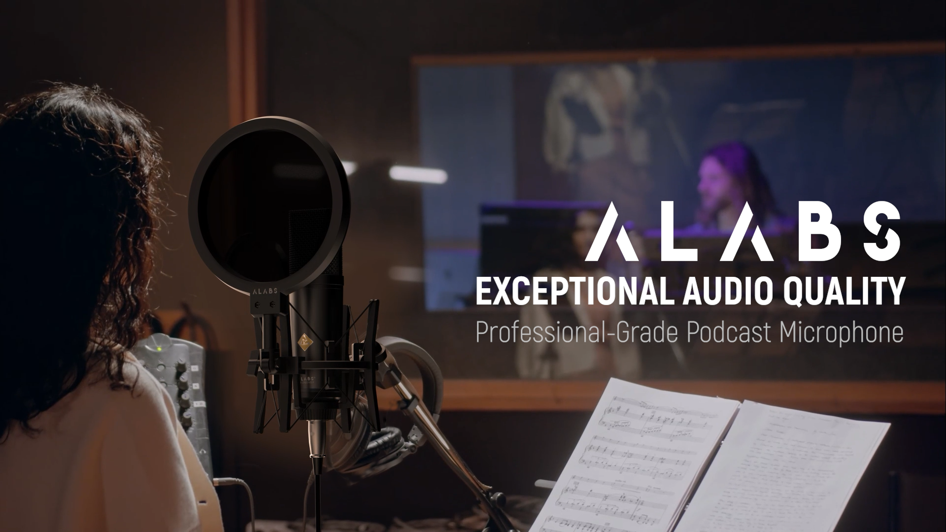 Amazon.com: ALABS XLR Condenser Microphone, Professional Cardioid
