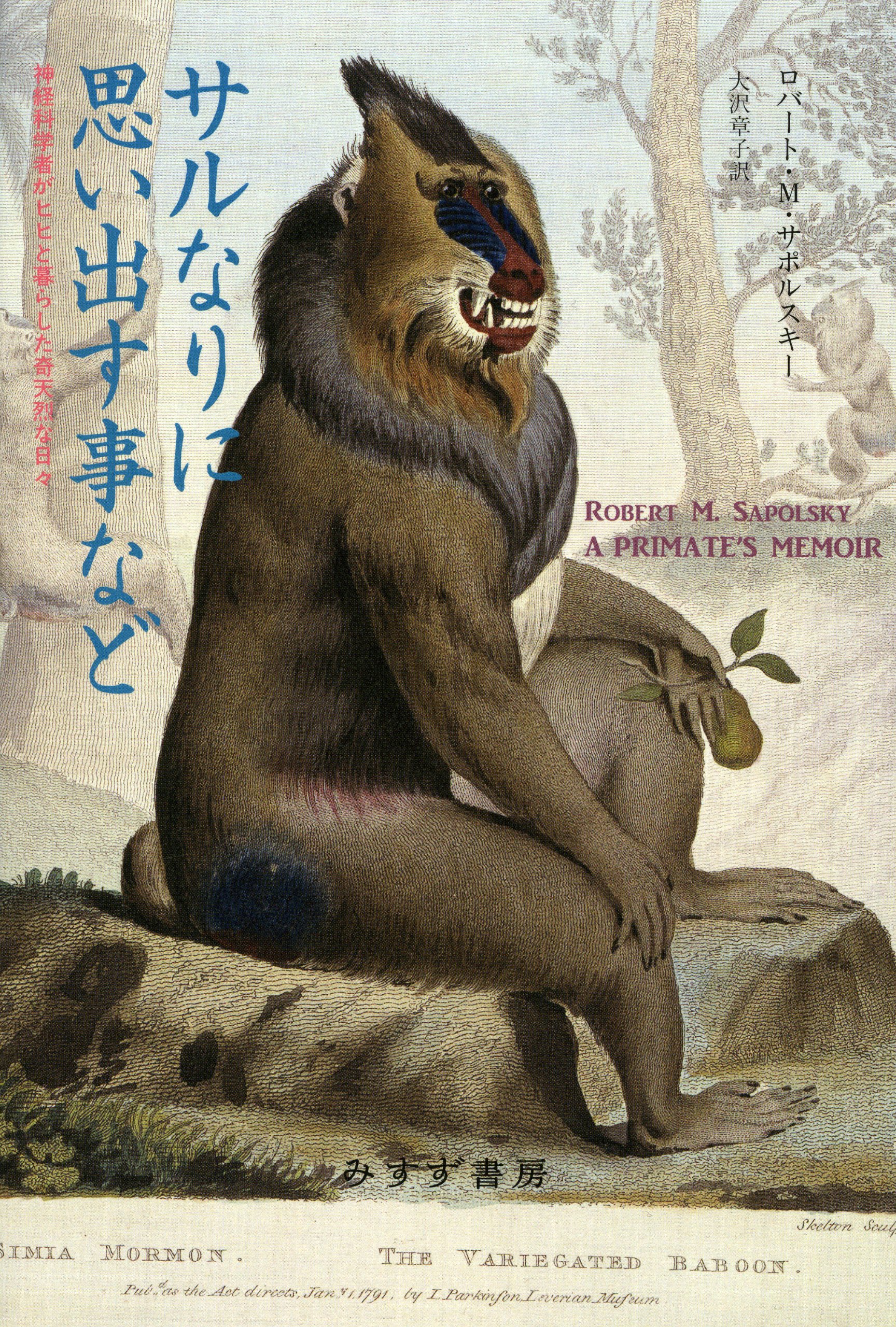 サルなりに思い出す事など 神経科学者がヒヒと暮らした奇天烈な日々 ロバート M サポルスキー 大沢 章子 本 通販 Amazon