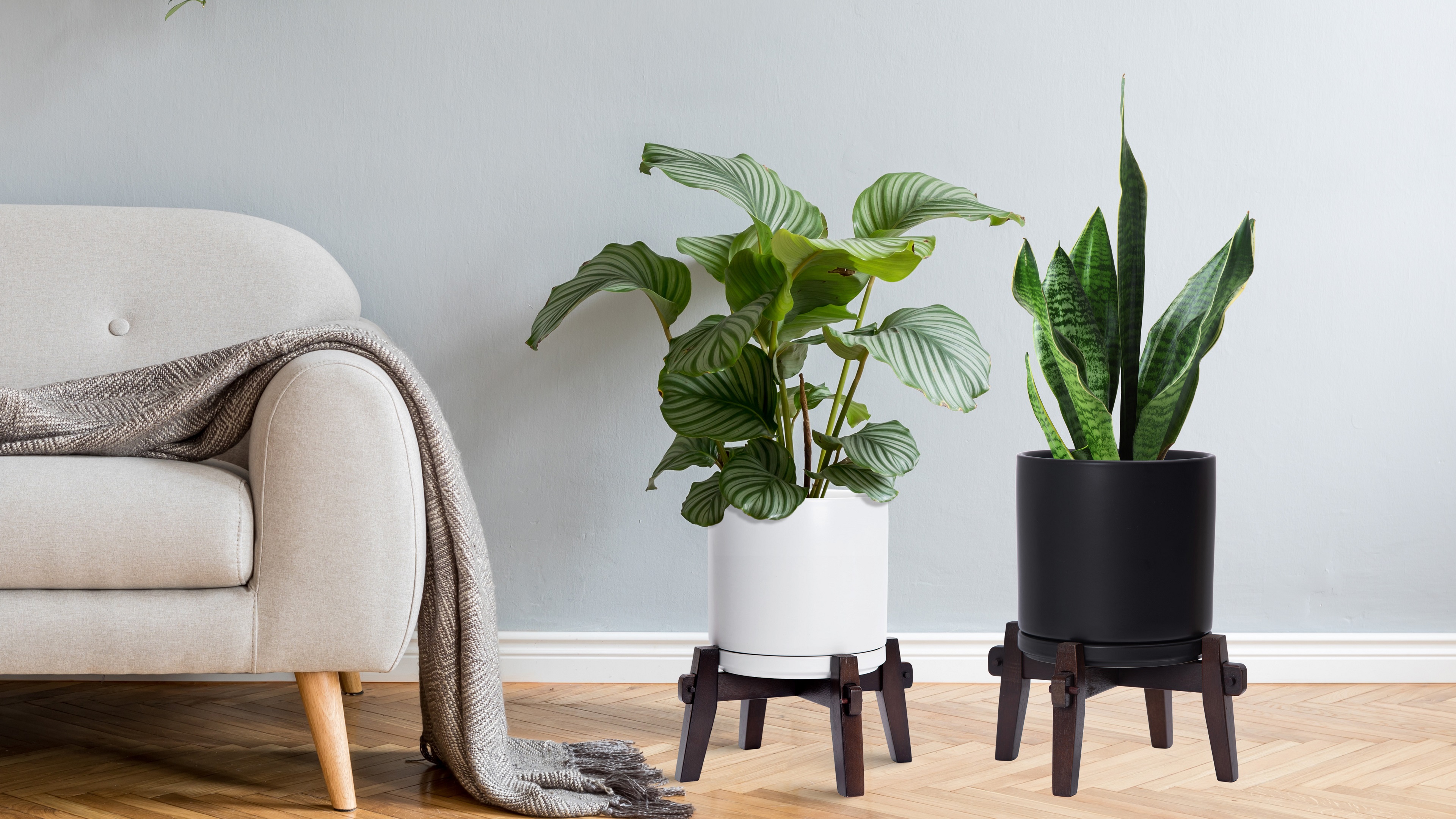 Amazon.com : D'vine Dev Ceramic Planter with Wood Stand - 8 Inch