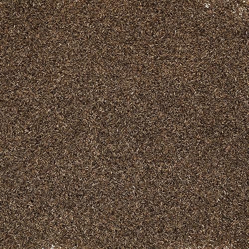 Miniatura 2 de Artemisia vulgaris - Cultiva ahora o almacena para futuras plantaciones - Cápsula de 100 semillas