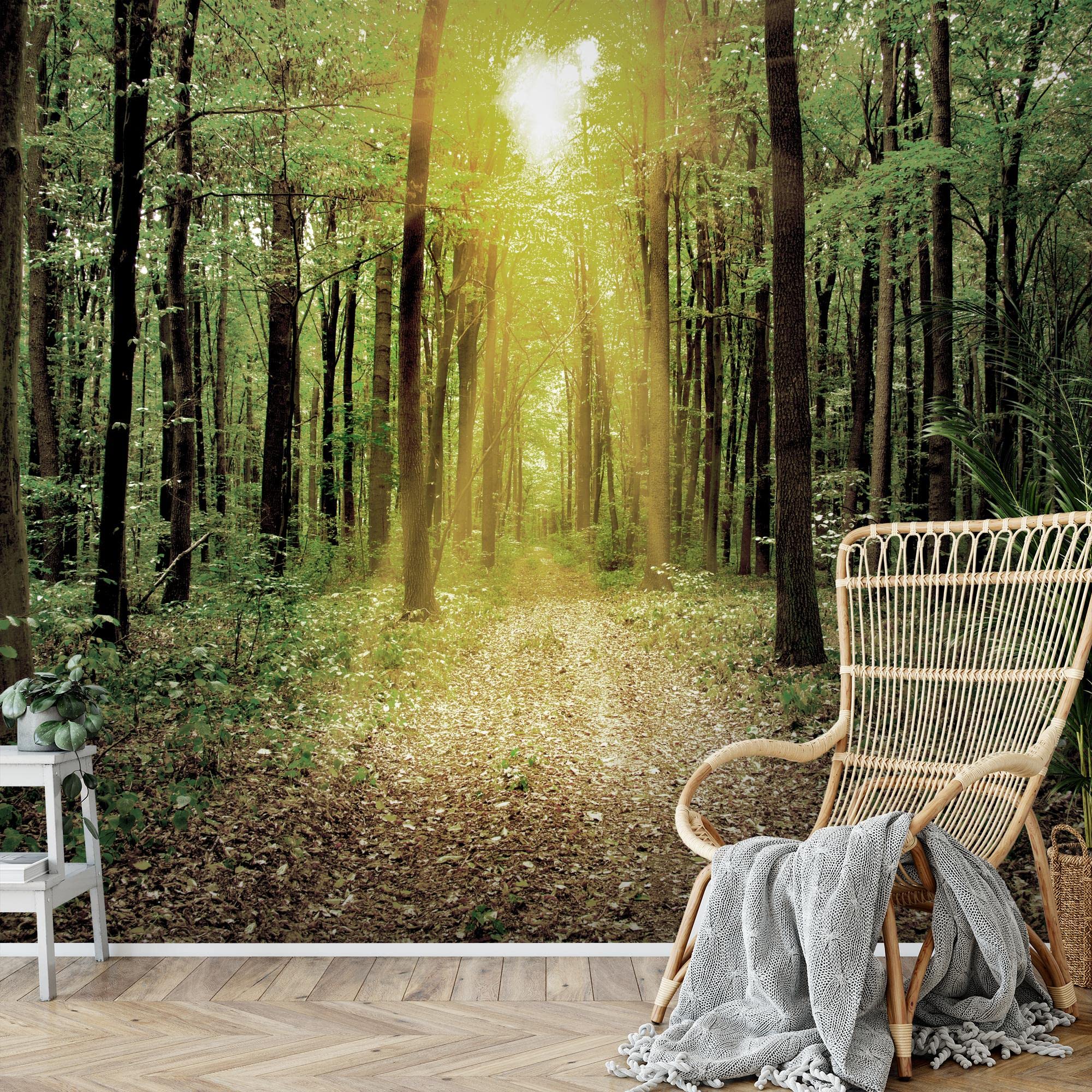 Runa Art Papel Tapiz Fotográfico Bosque Ventana 352 X 250 Cm Lana