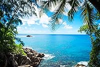 Vista 31 de Mi Alma calcomanías 3D de vinilo para pared vinilo – Fácil de aplicar – resistente.