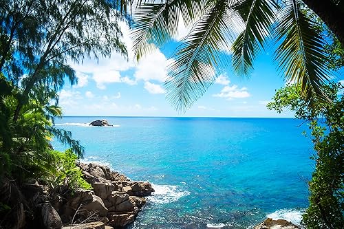 Mi Alma Calcomanías de vinilo removibles 3D para pared, calcomanías de vinilo para pared, amplia variedad de playas tropicales, fácil de aplicar,