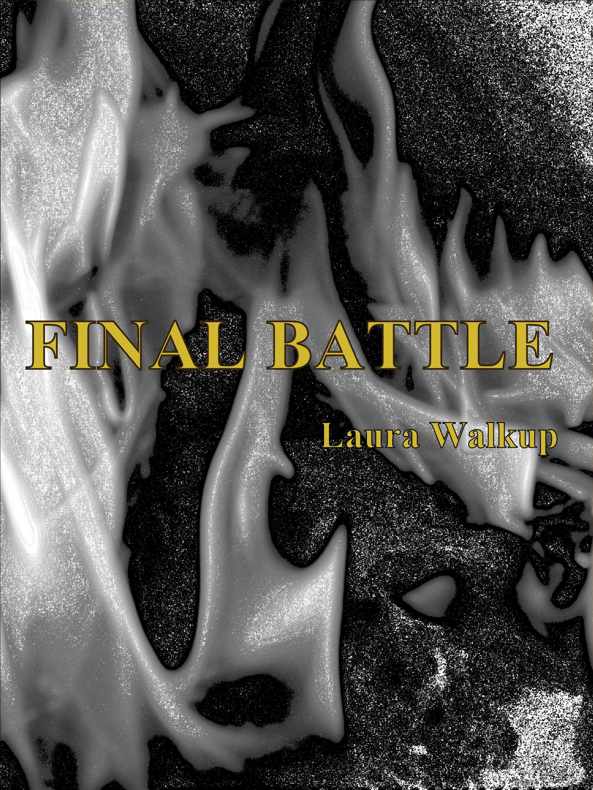 Final Battle a short story