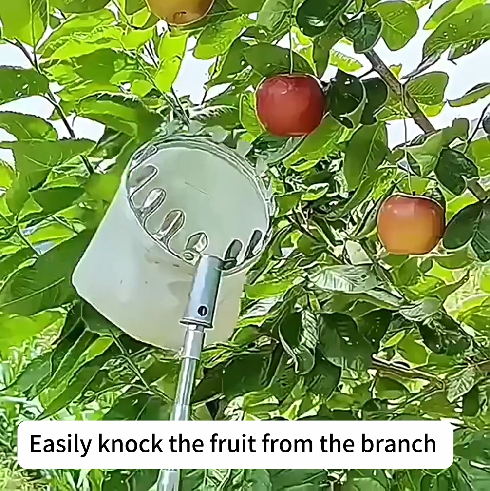 Cabezal recogedor de frutas con canasta de 16 cm miniatura 7