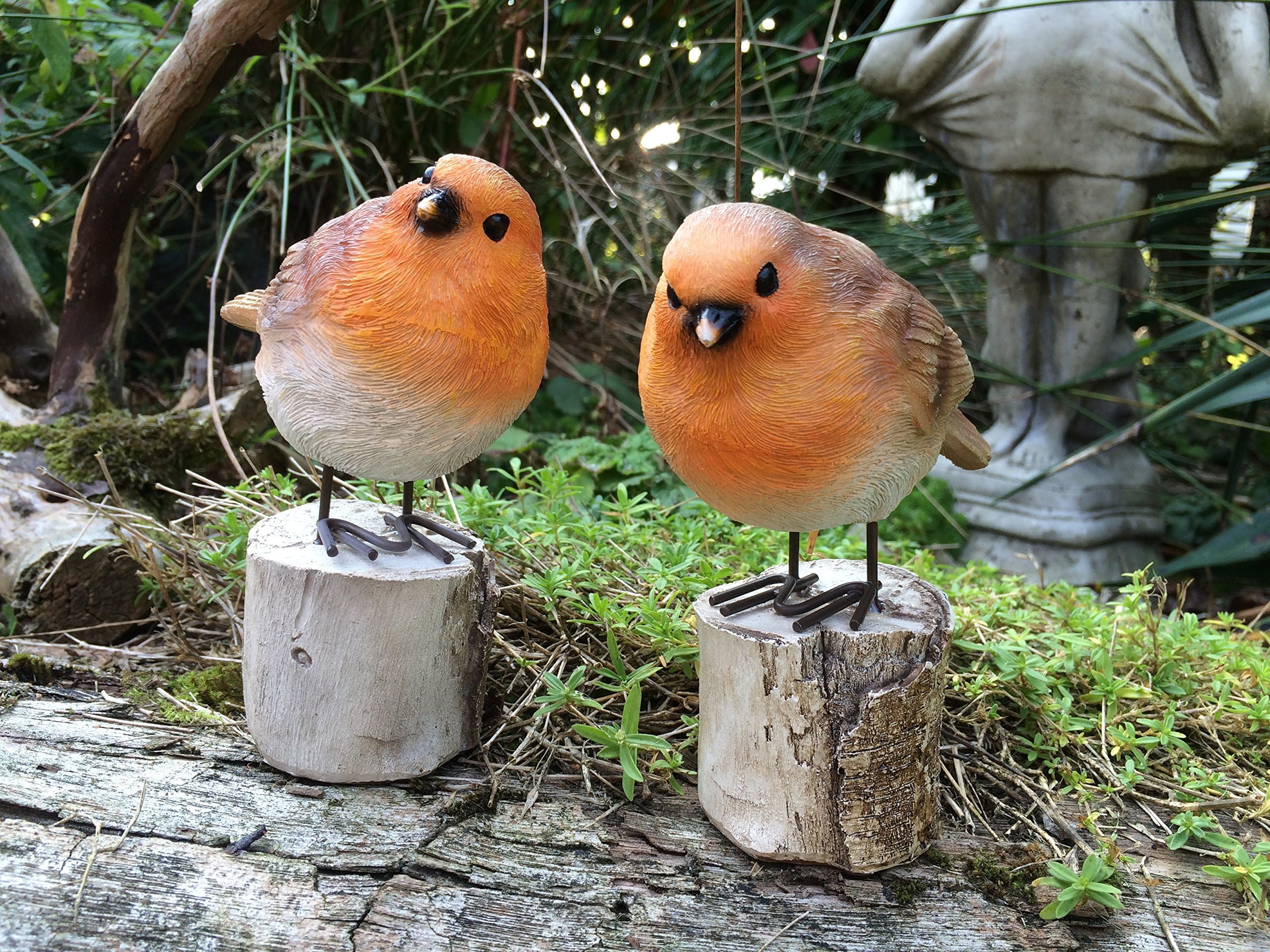 Pair Of Cute Robins On A Log